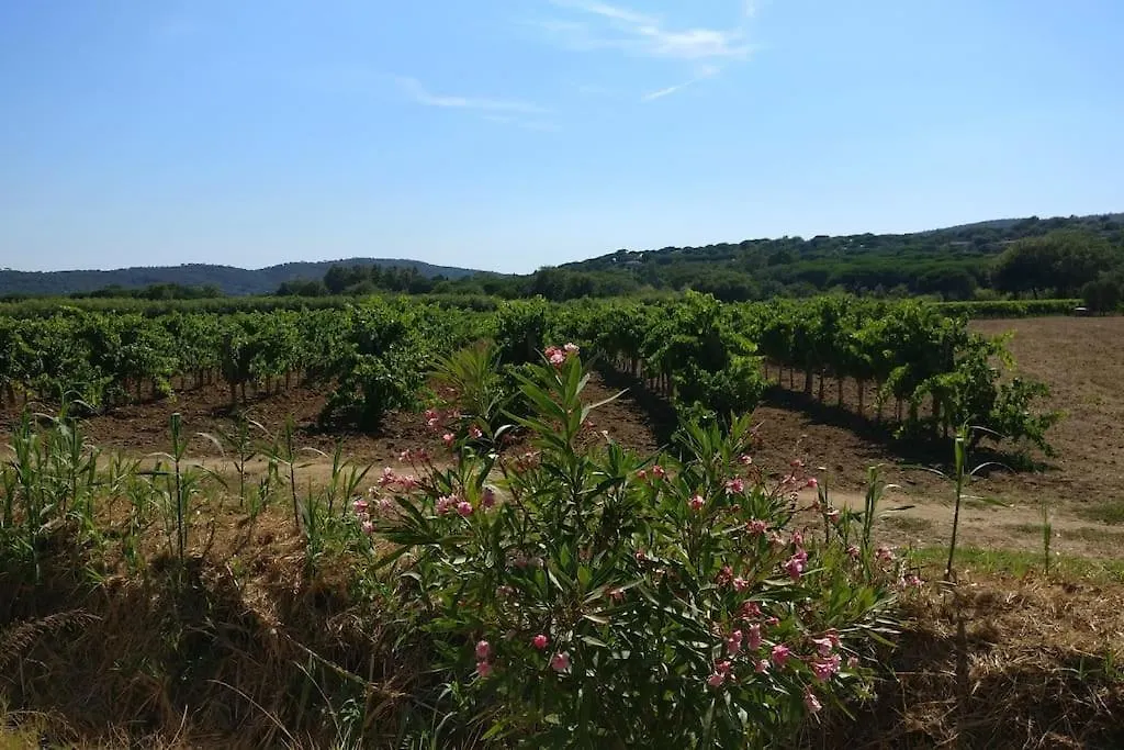 Les Vignes Et La Pinede Pres De La Plage 쎙뜨호뻬 아파트